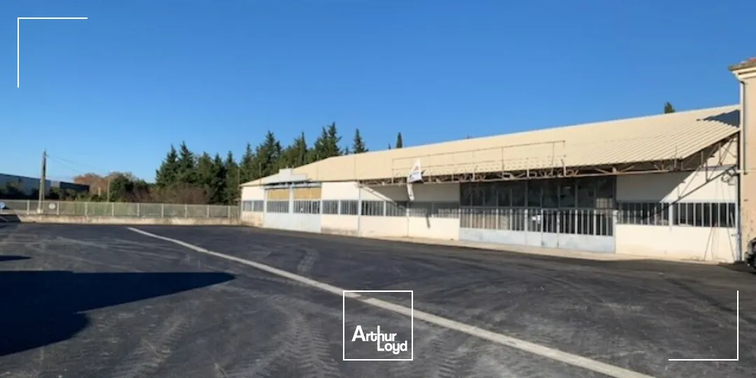 Locaux commerciaux - Location - CHÂTEAURENARD - 13160 - 300-600 - 7615876