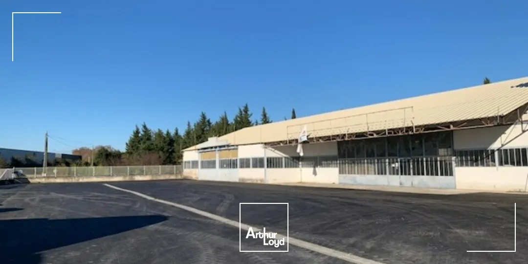 Locaux commerciaux - Location - CHÂTEAURENARD - 13160 - 300-600 - 7615879