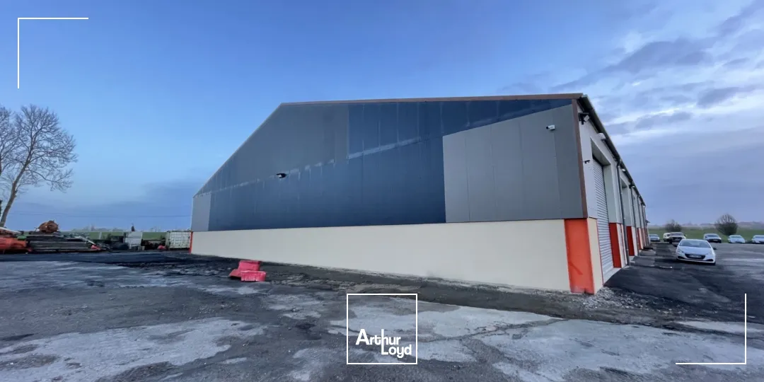 Locaux d'activité & Entrepôts - Location - GRIGNEUSEVILLE - 76850 - 811-811 - 7616167