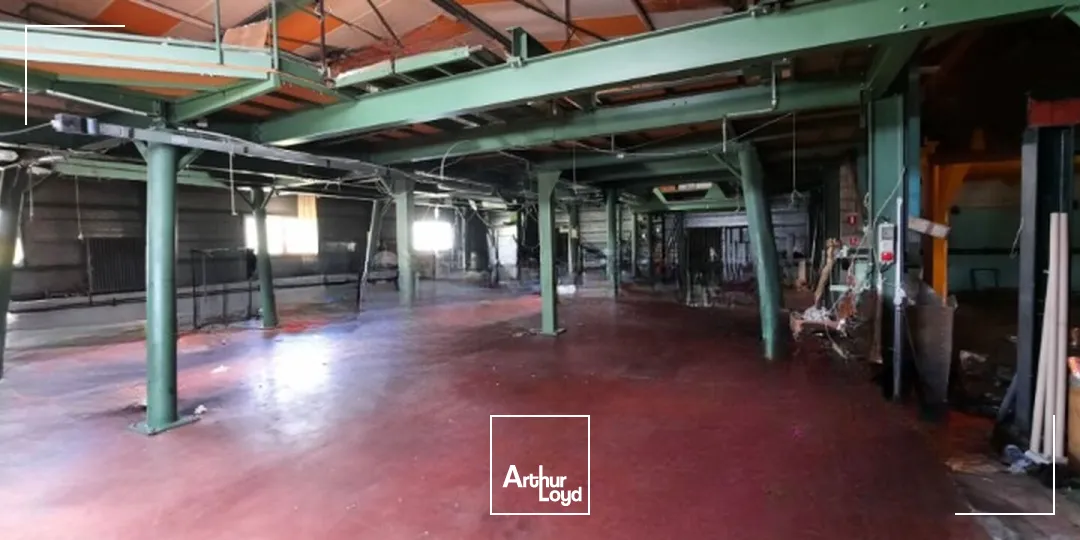 Locaux d'activité & Entrepôts - Vente - ROZIER EN DONZY - 42810 - 886.5-886.5 - 7617051