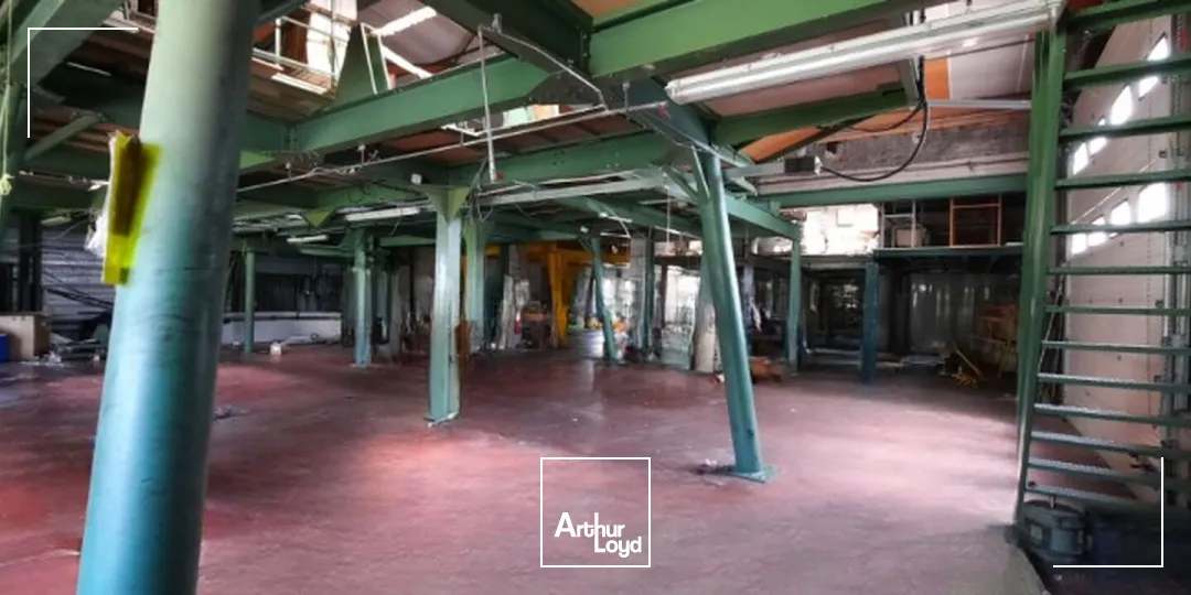 Locaux d'activité & Entrepôts - Vente - ROZIER EN DONZY - 42810 - 886.5-886.5 - 7617053