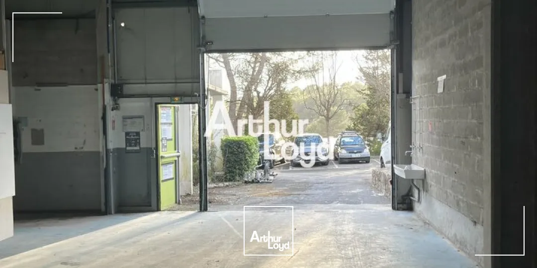 Locaux d'activité & Entrepôts - Location - VALBONNE - 06560 - 320-320 - 7618357