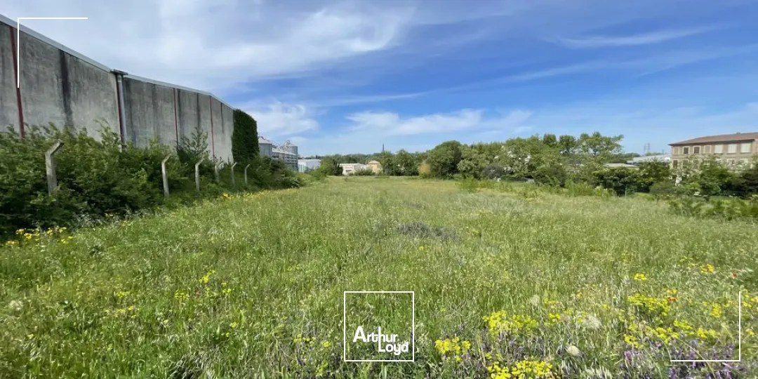 Terrains - Location - LE PONTET - 84130 - 5500-5500 - 7618363