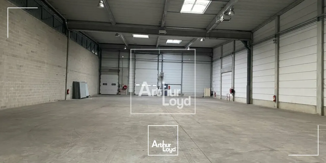 Locaux d'activité & Entrepôts - Location - LIEUSAINT - 77127 - 1418-1418 - 7618656