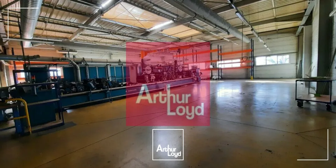 Locaux d'activité & Entrepôts - Vente - PONT-DU-CHÂTEAU - 63430 - 2500-2500 - 7619231