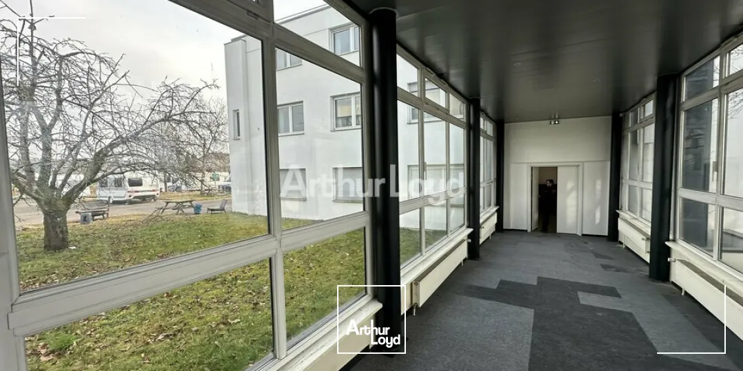Bureaux - Vente - REICHSTETT - 67116 - 4245-4245 - 7619268