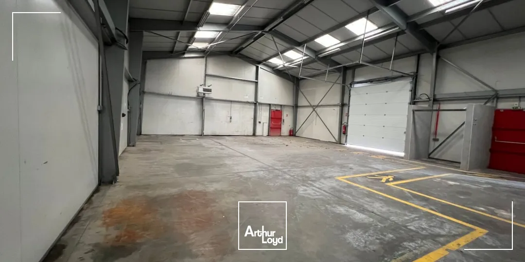 Locaux d'activité & Entrepôts - Location - SAINT ETIENNE - 42100 - 300-300 - 7619596