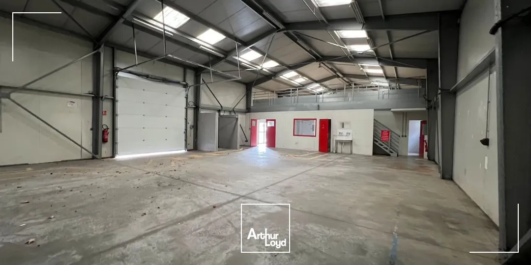 Locaux d'activité & Entrepôts - Location - SAINT ETIENNE - 42100 - 300-300 - 7619595