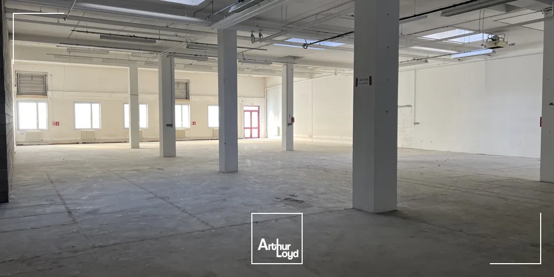 Locaux d'activité & Entrepôts - Location - VILLEPINTE - 93420 - 550-1160 - 7619848