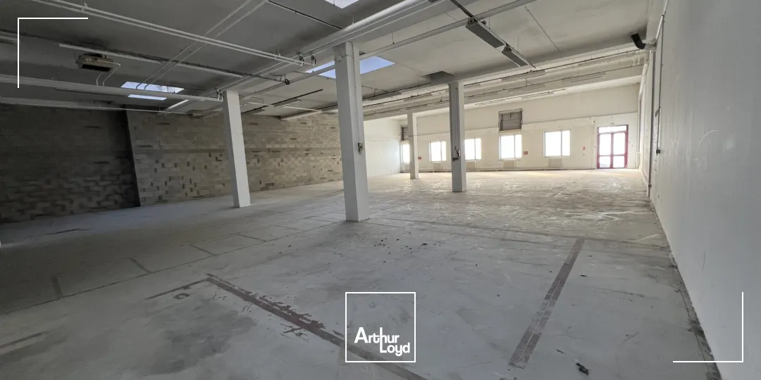 Locaux d'activité & Entrepôts - Location - VILLEPINTE - 93420 - 550-1160 - 7619849