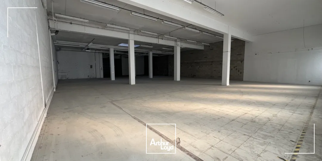 Locaux d'activité & Entrepôts - Location - VILLEPINTE - 93420 - 550-1160 - 7619852