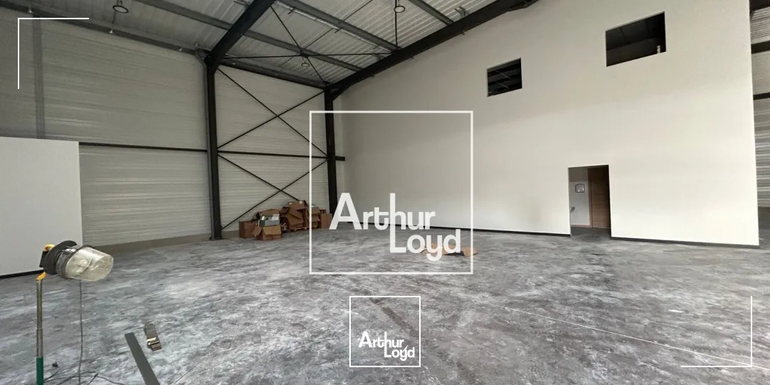 Locaux d'activité & Entrepôts - Location - COLOMIERS - 31770 - 537-537 - 7619916