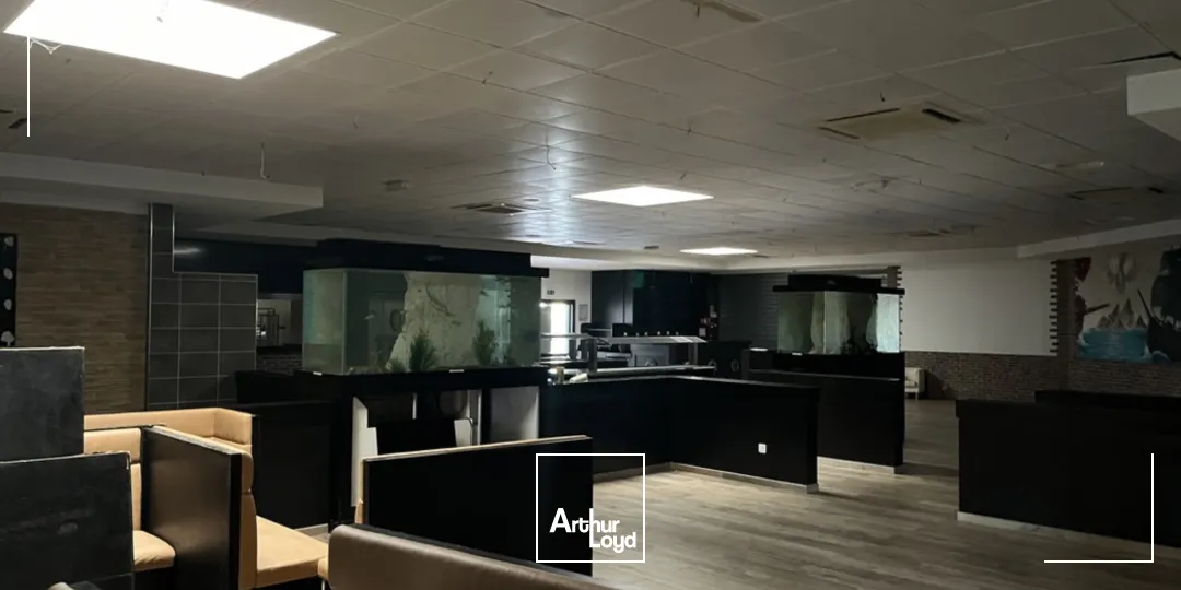 Locaux commerciaux - Vente - LA CHAPELLE SAINT MESMIN - 45380 - 610-610 - 7619971