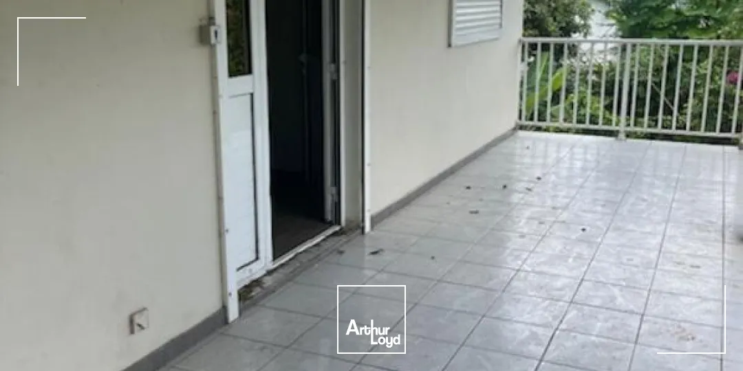 Locaux commerciaux - Vente - Ducos - 97224 - 300-300 - 7620949