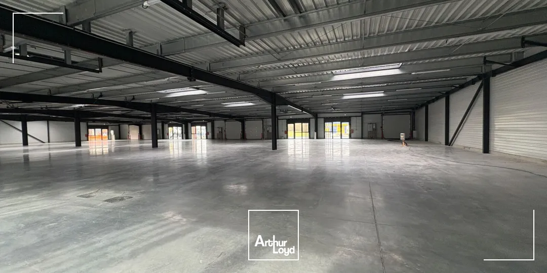 Locaux commerciaux - Location - CHECY - 45430 - 0-201 - 7621773