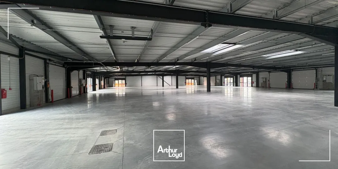 Locaux d'activité & Entrepôts - Location - CHECY - 45430 - 402-402 - 7621781