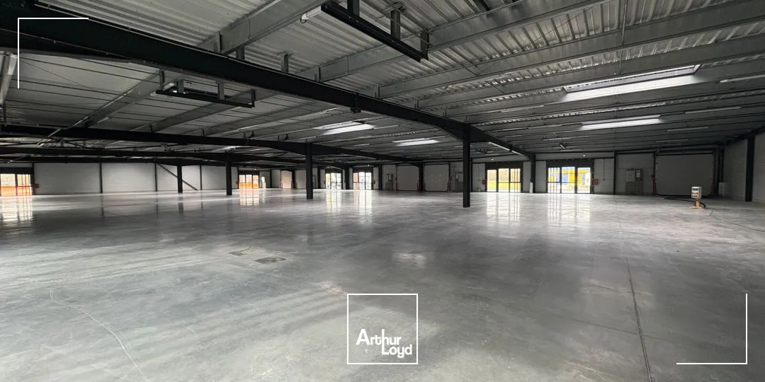 Locaux d'activité & Entrepôts - Location - CHECY - 45430 - 804-804 - 7621804