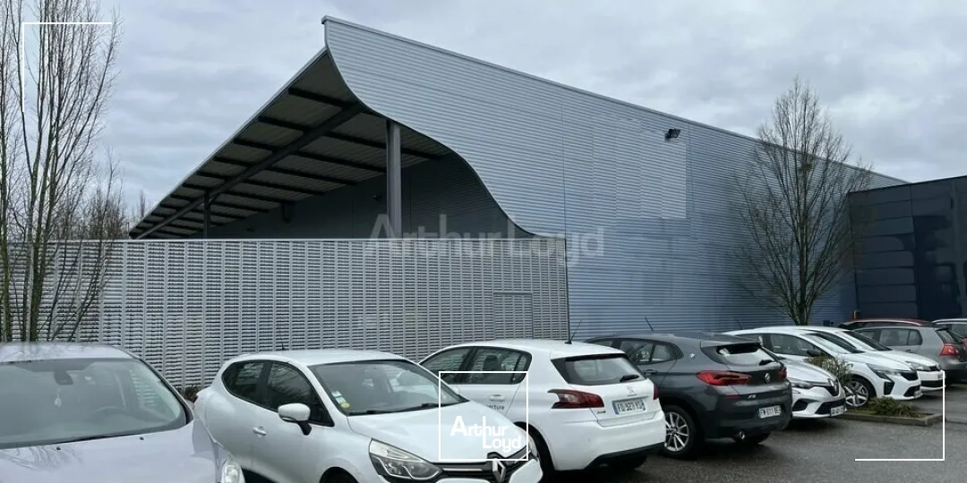 Locaux d'activité & Entrepôts - Location - MULHOUSE - 68200 - 1581-1581 - 7622047