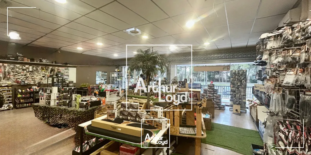 Locaux commerciaux - Location - LATTES - 34970 - 210-210 - 7622191