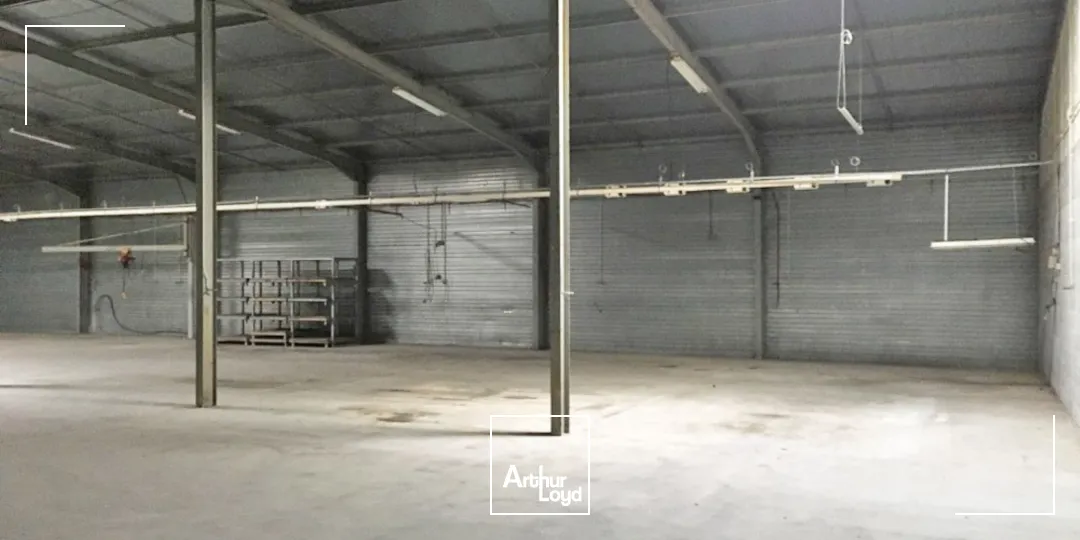 Locaux d'activité & Entrepôts - Vente - VINASSAN - 11110 - 700-700 - 7622586