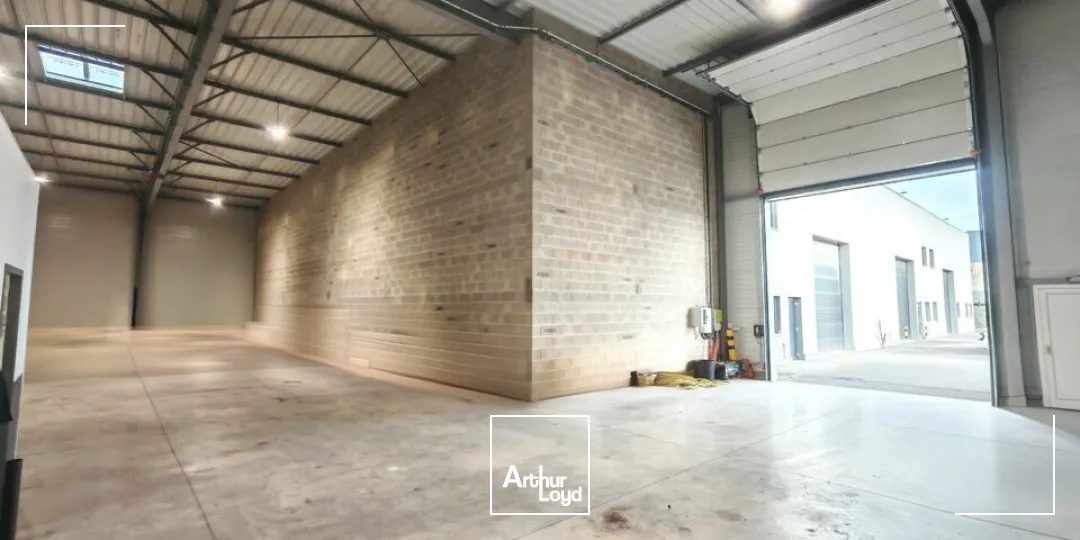 Locaux d'activité & Entrepôts - Vente - CERNAY-LÈS-REIMS - 51420 - 350-350 - 7623824