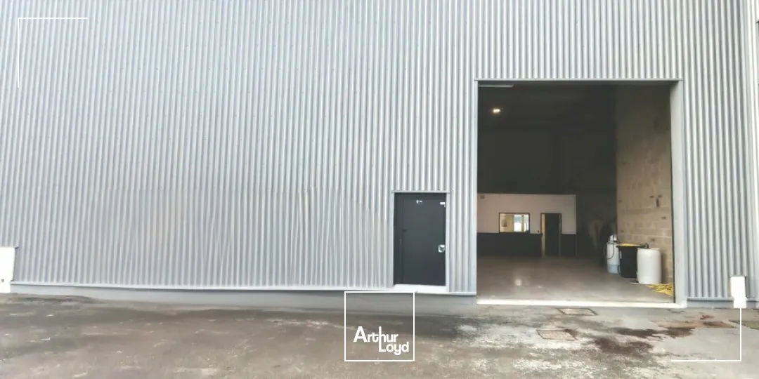 Locaux d'activité & Entrepôts - Vente - CERNAY-LÈS-REIMS - 51420 - 350-350 - 7623823