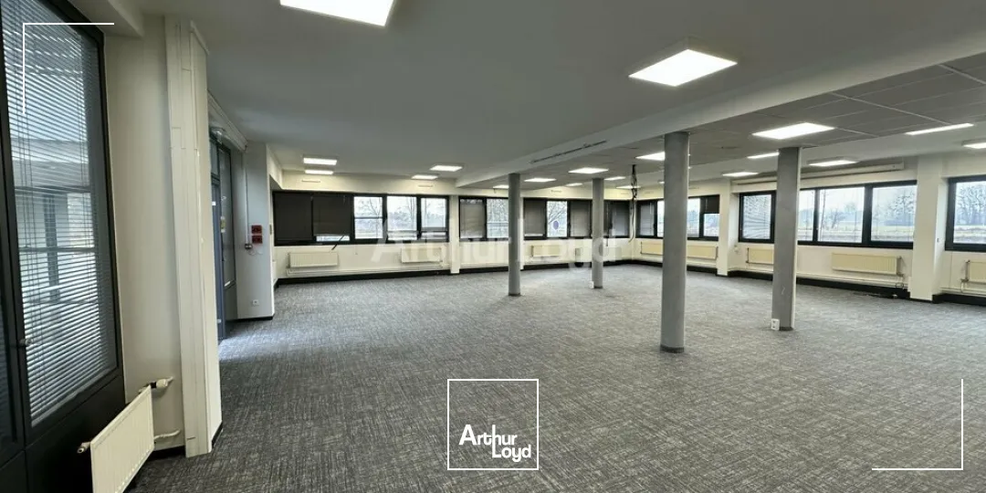 Bureaux - Vente - REICHSTETT - 67116 - 4245-4245 - 7629683