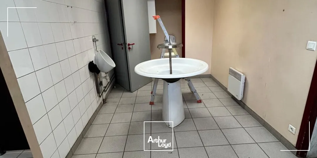 Locaux d'activité & Entrepôts - Location - THOUARE SUR LOIRE - 44470 - 704-704 - 7630153