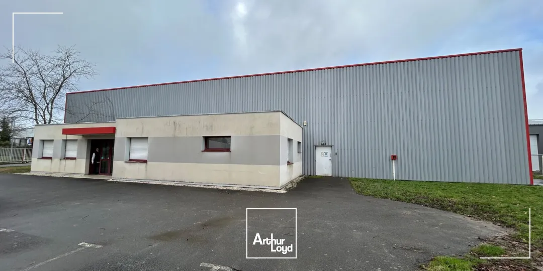 Locaux d'activité & Entrepôts - Location - THOUARE SUR LOIRE - 44470 - 704-704 - 7630148