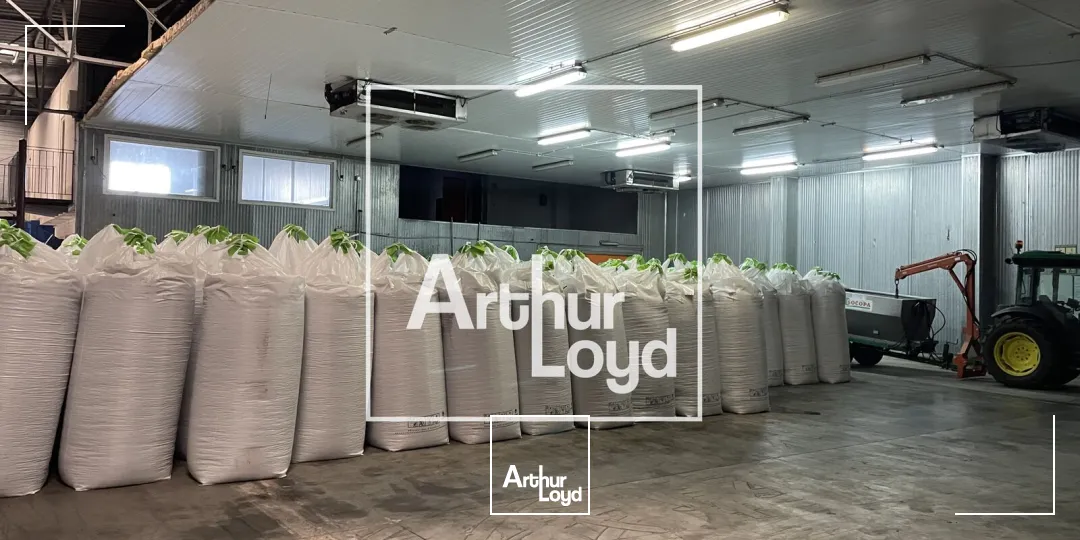 Locaux d'activité & Entrepôts - Location - SERVIAN - 34290 - 1400-1400 - 7630191