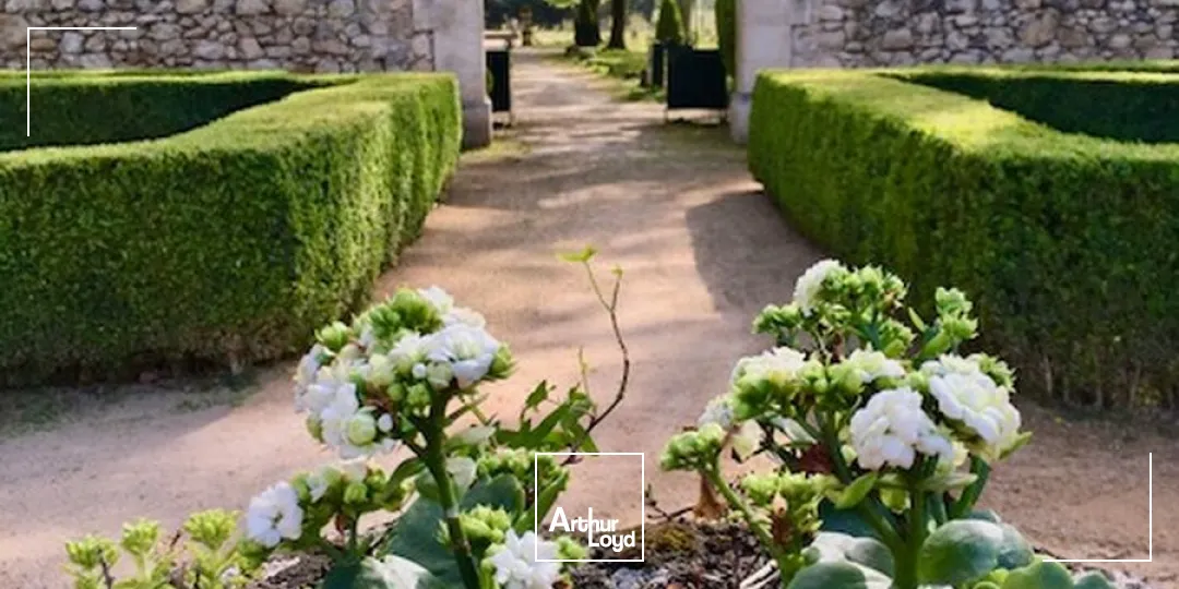 Locaux commerciaux - Vente - MALLEMORT - 13370 - 660-660 - 7633232