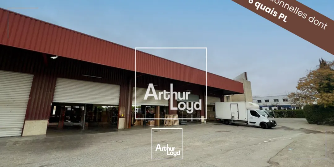 Locaux d'activité & Entrepôts - Location - MAUGUIO - 34130 - 1641-1641 - 7635436