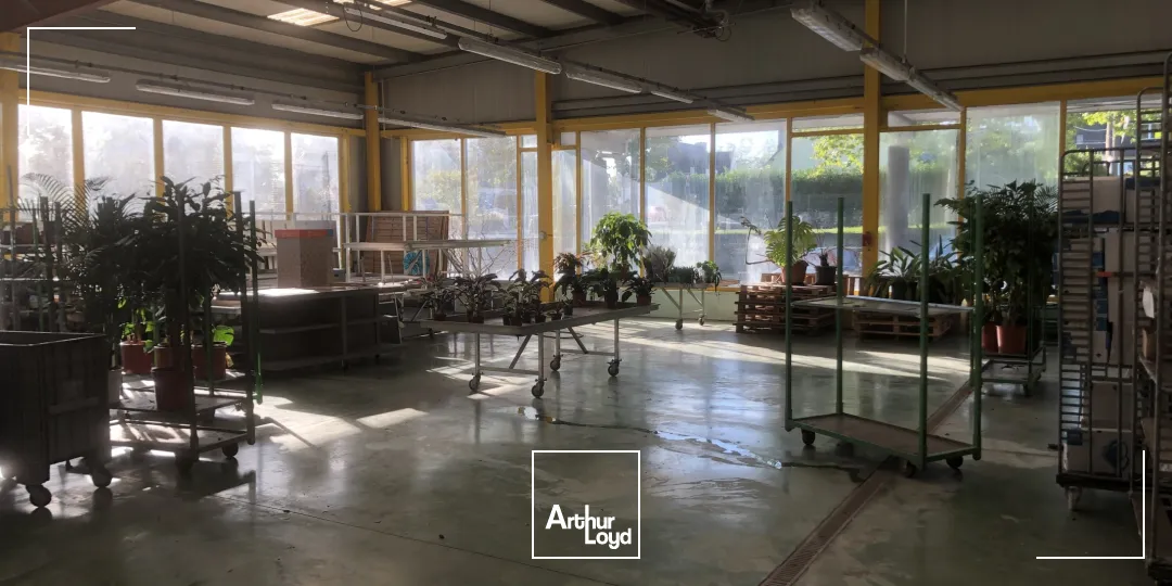 Locaux d'activité & Entrepôts - Location - BREST - 29200 - 1200-1200 - 7637374