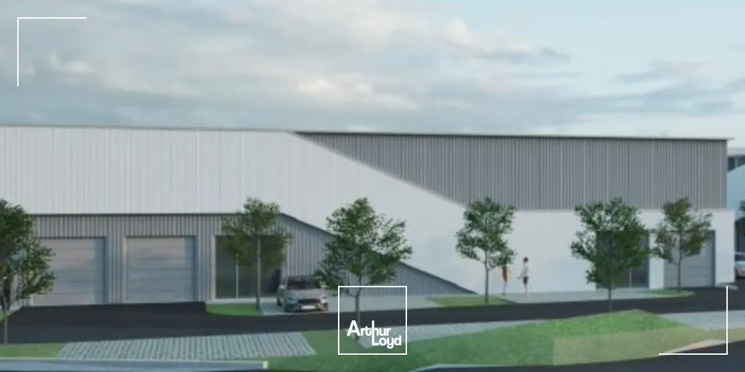 Locaux d'activité & Entrepôts - Location - PETITE FORET - 59494 - 1174-1174 - 7637551