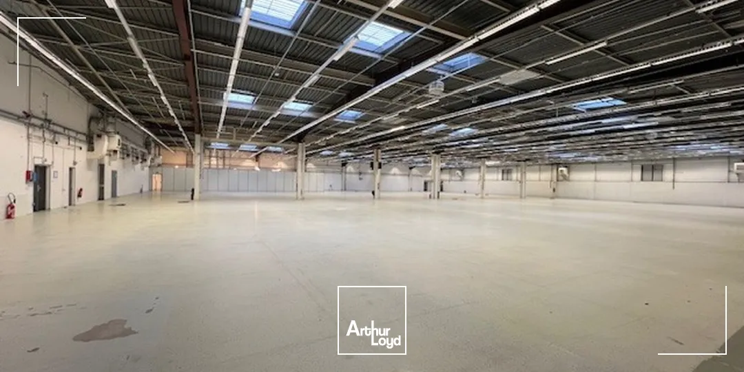 Locaux d'activité & Entrepôts - Location - LES ULIS - 91940 - 1370-18729 - 7637726