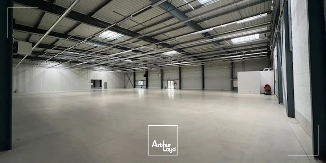 Locaux d'activité & Entrepôts - Location - LES ULIS - 91940 - 1370-18729 - 7637728