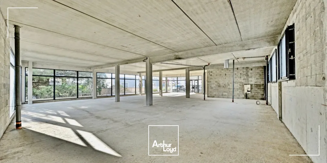 Locaux commerciaux - Location - LATTES - 34970 - 306.3-306.3 - 7638192