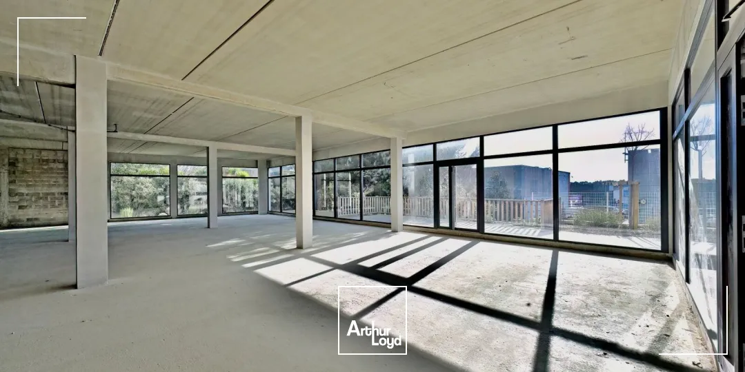 Locaux commerciaux - Location - LATTES - 34970 - 306.3-306.3 - 7638196