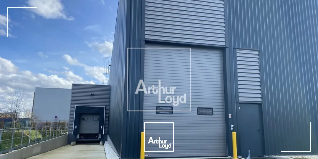 Locaux d'activité & Entrepôts - Location - LIEUSAINT - 77127 - 996-996 - 7639685