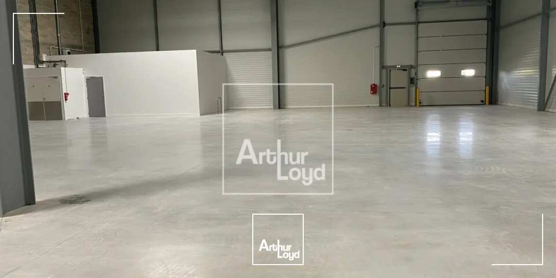 Locaux d'activité & Entrepôts - Location - LIEUSAINT - 77127 - 996-996 - 7639688