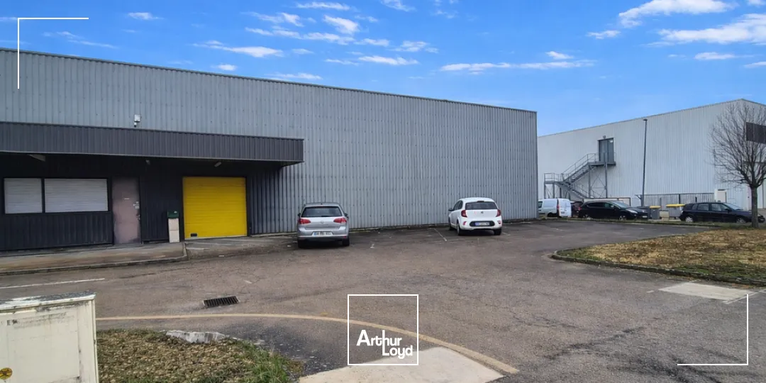 Locaux d'activité & Entrepôts - Vente - SENNECEY-LÈS-DIJON - 21800 - 974-974 - 7640587