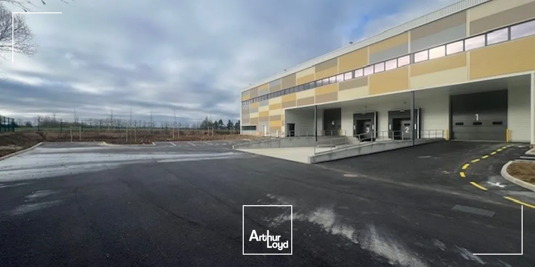 Locaux d'activité & Entrepôts - Location - PLAISIR - 78370 - 1513-4685 - 7641208