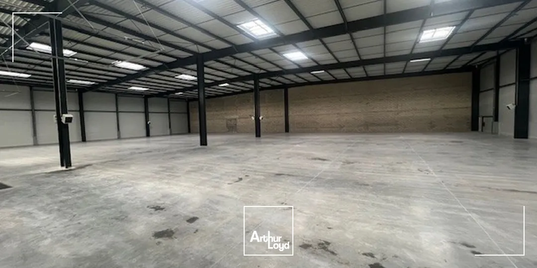 Locaux d'activité & Entrepôts - Location - PLAISIR - 78370 - 1513-4685 - 7641211