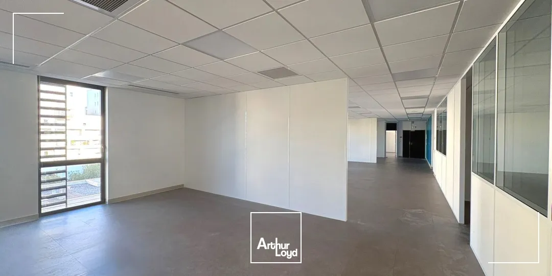 Bureaux - Location - MARSEILLE - 13002 - 1531-1531 - 7641246