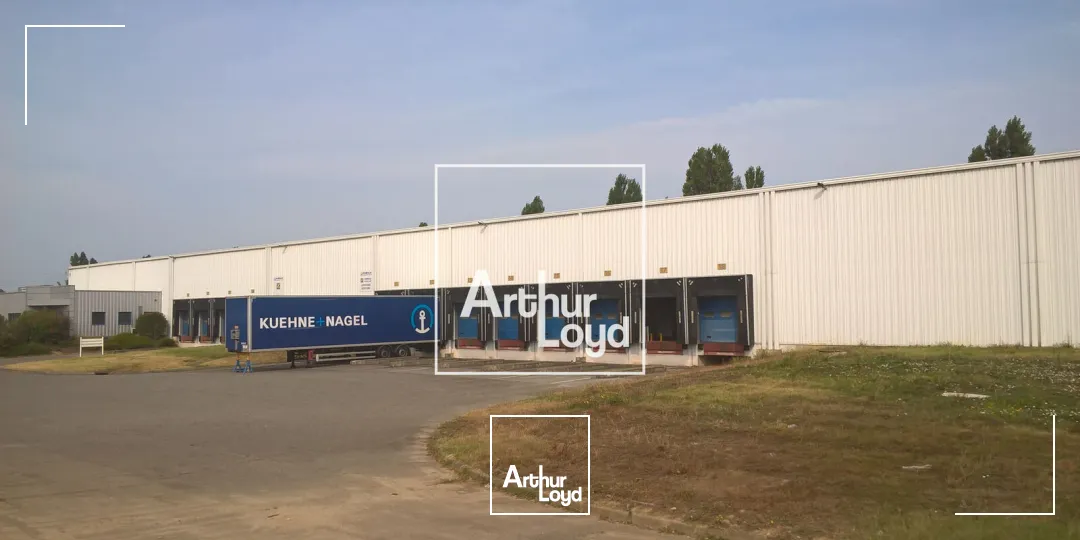 Locaux d'activité & Entrepôts - Location - LESPINASSE - 31150 - 6234-6234 - 7641282