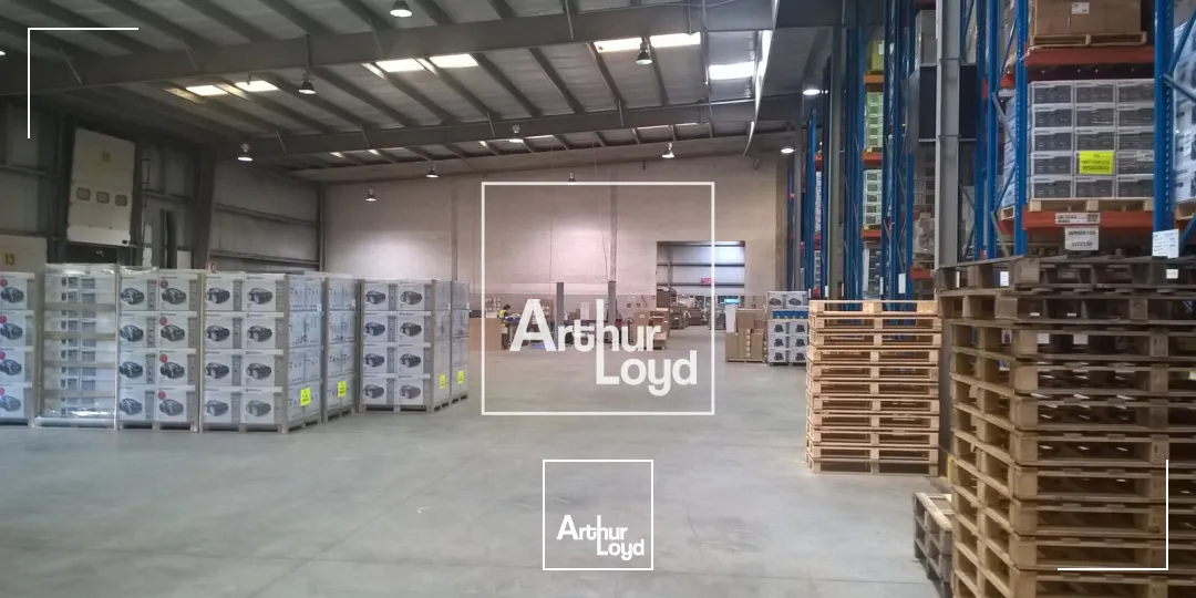 Locaux d'activité & Entrepôts - Location - LESPINASSE - 31150 - 6234-6234 - 7641285