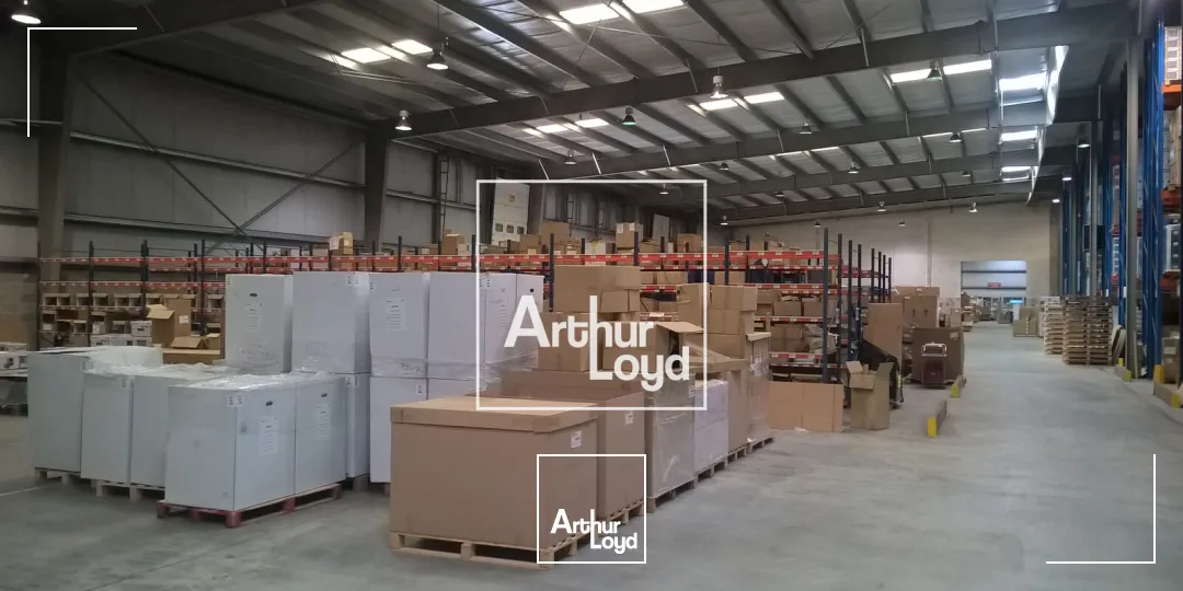 Locaux d'activité & Entrepôts - Location - LESPINASSE - 31150 - 6234-6234 - 7641286