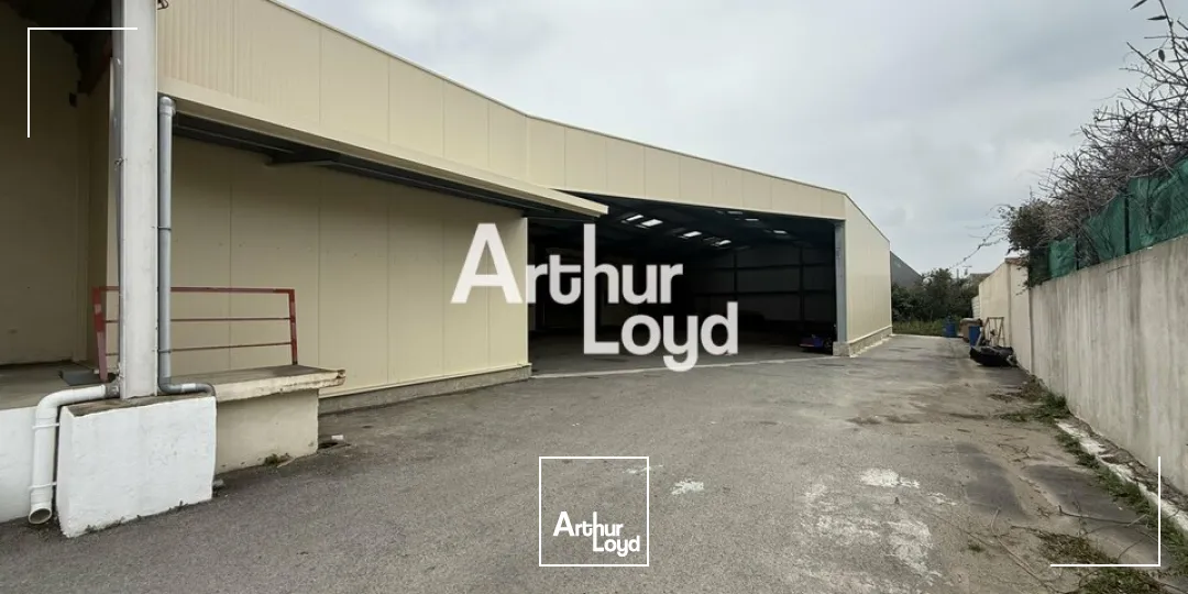 Locaux d'activité & Entrepôts - Location - PUGET SUR ARGENS - 83480 - 878-878 - 7641503