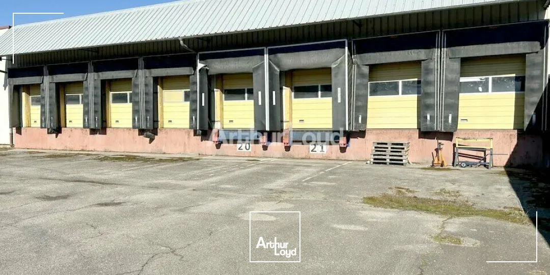 Locaux d'activité & Entrepôts - Vente - MATTAINCOURT - 88500 - 3070-13030 - 7641542