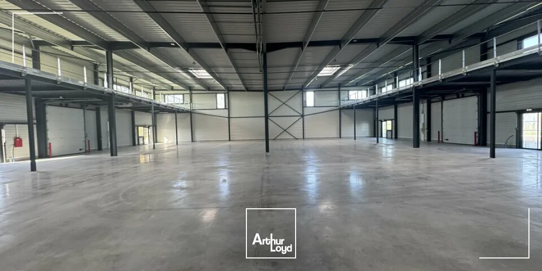 Locaux d'activité & Entrepôts - Location - JOUE LES TOURS - 37300 - 234-2852 - 7641616